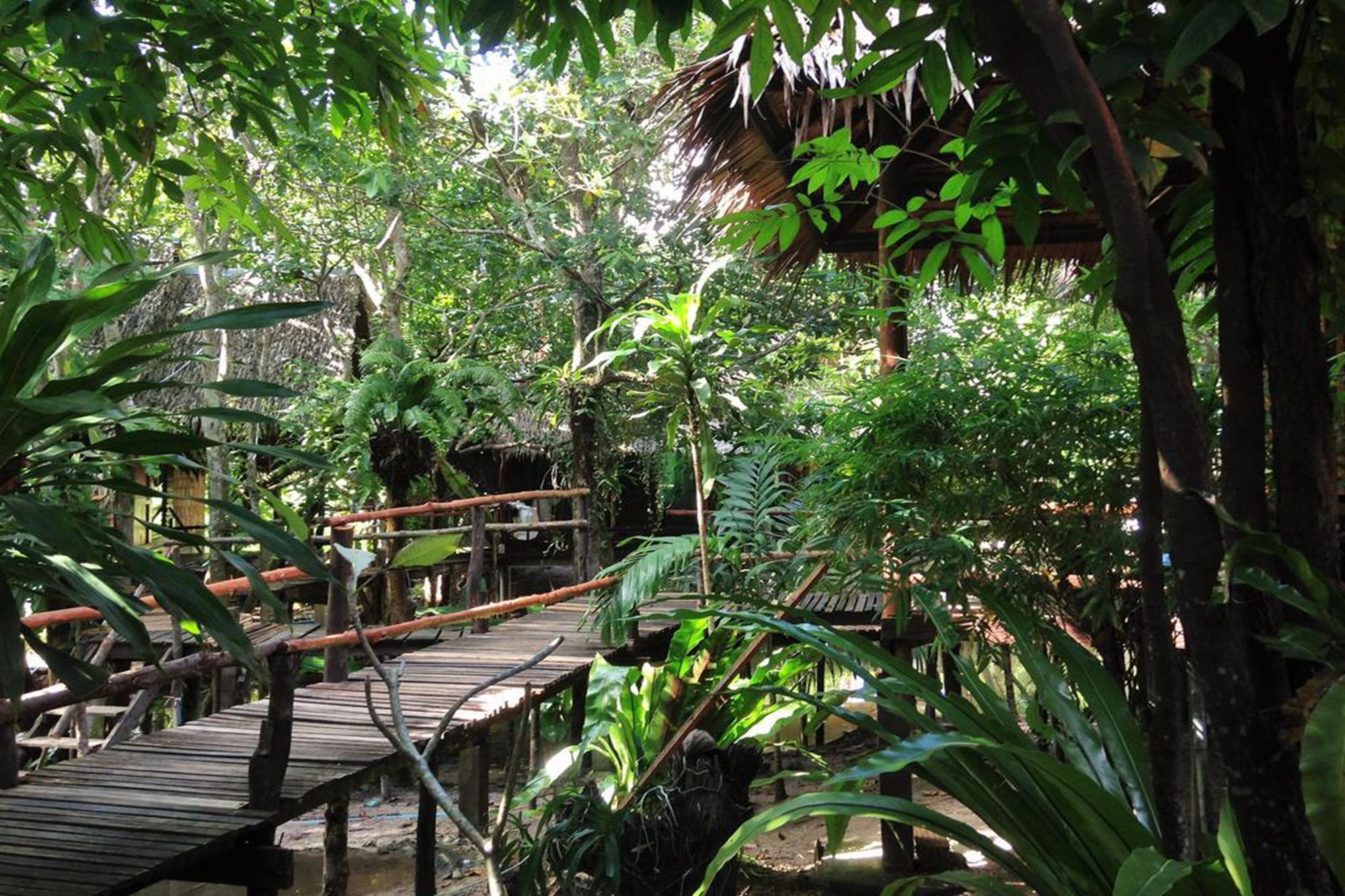 Mayom Garden (Adults Only) Koh Phangan Exteriör bild