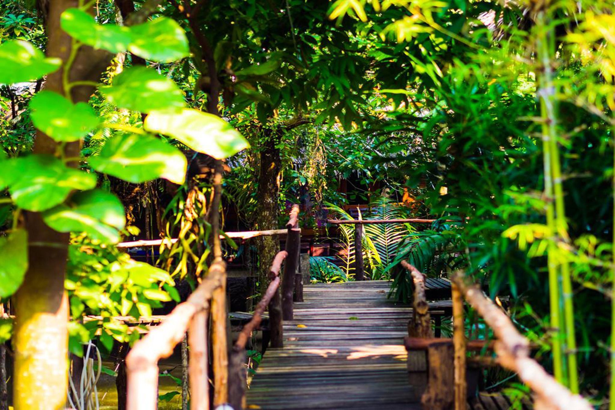 Mayom Garden (Adults Only) Koh Phangan Exteriör bild